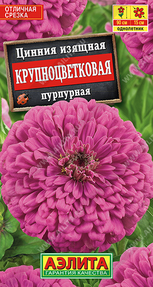 Семена Цинния Крупноцветковая пурпурная 0,3гр Аэлита цв *10/200