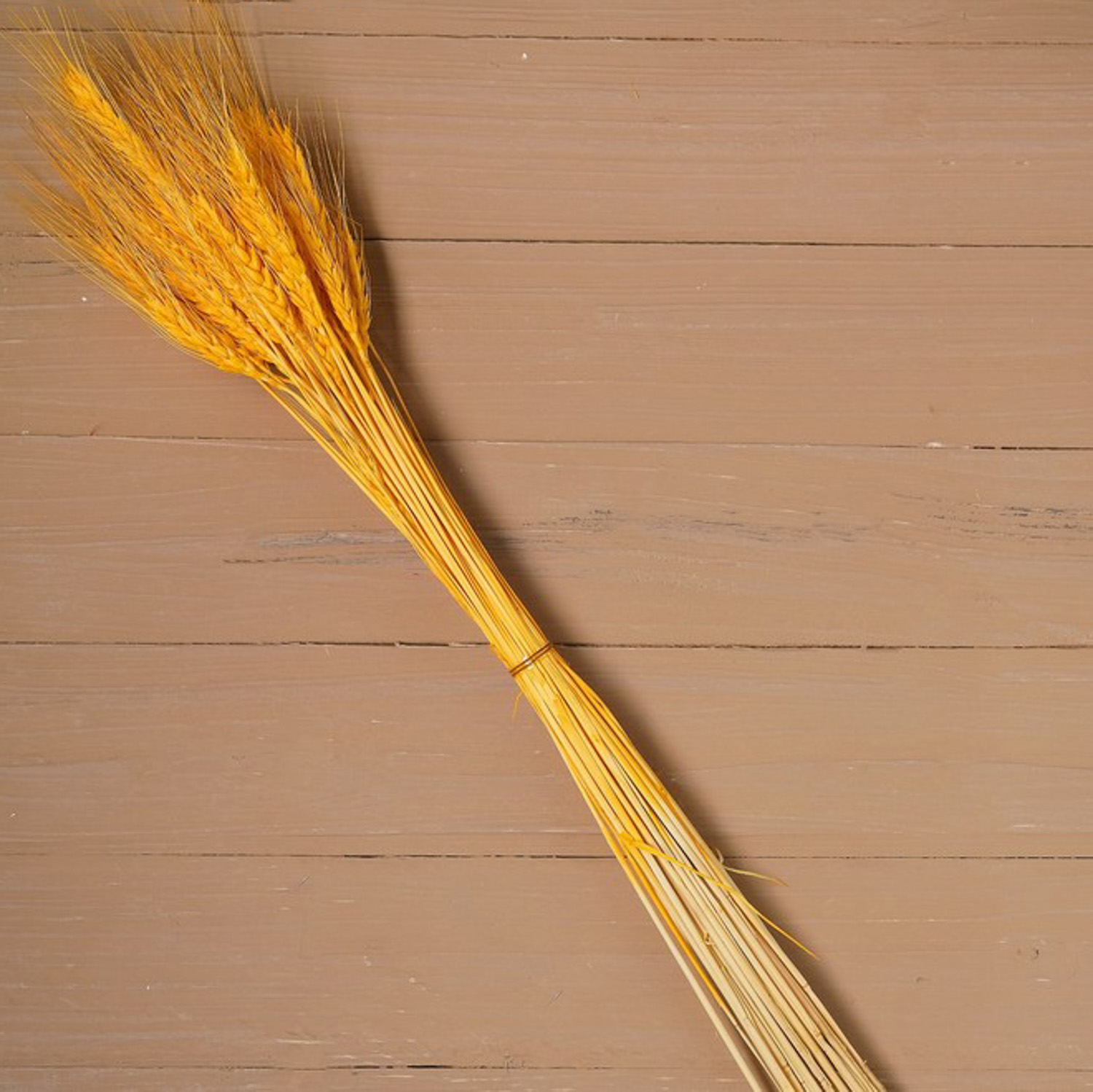 Сухой колос пшеницы, набор 50 шт, цвет желтый   4447387