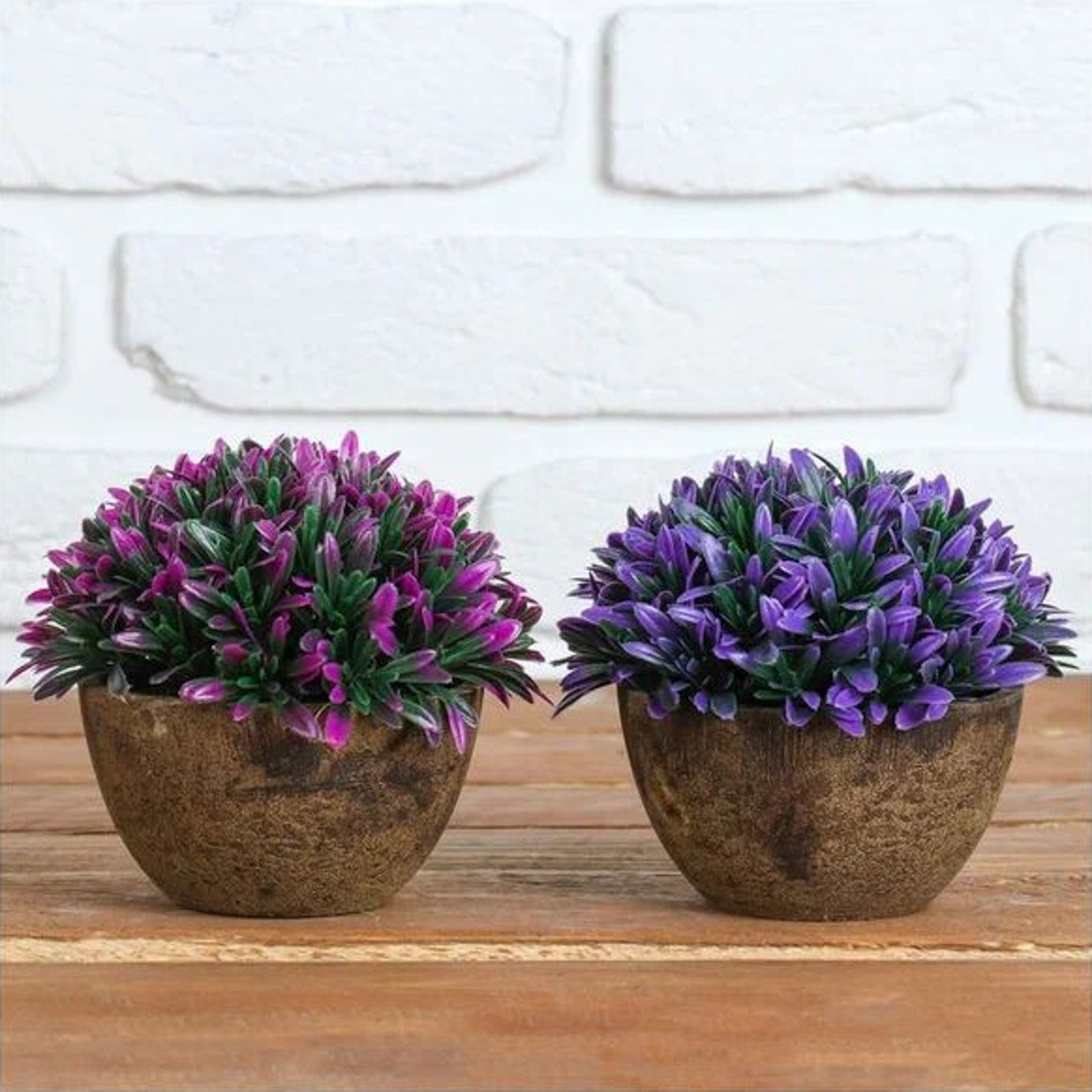 Бонсай в горшке "Цветные листья" 10*10*11 см, микс 1840779