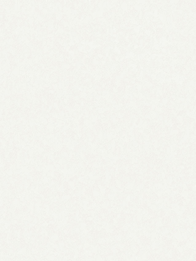 Обои винил Аспект Ясмин фон (бел.) 10140-15  0,53*10м *20 Обои винил Аспект Ясмин фон (бел.) 10140-15  0,53*10м *20