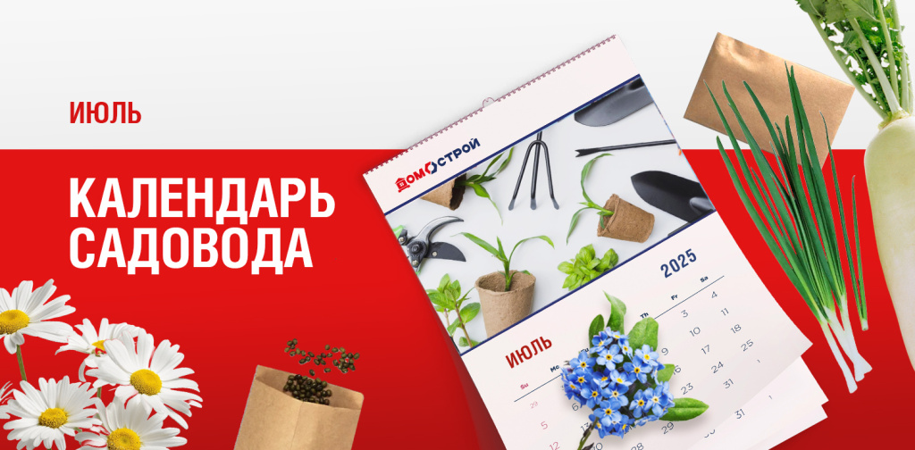 Новость внутри _1500х738(3).jpg