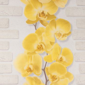 Обои виниловые Аспект Орхидея 10107-23, 0.53х10 м