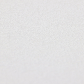 Обои флиз белые Vlies Band 1,06*10м 1027-10 *1/9