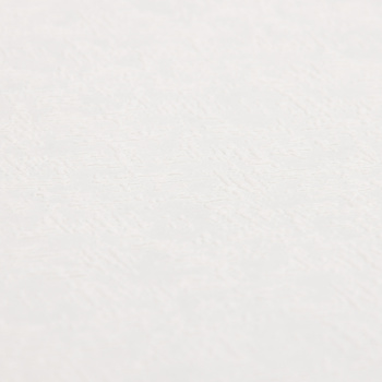 Обои АКЦИЯ!!! флиз белые Elysium 1,06*10м Е55810 *1/6