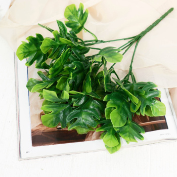 Букет "Филодендрон" 24 м, зелёный  9229367