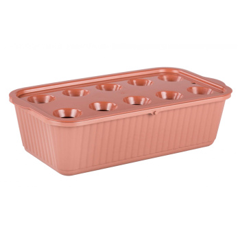 Лоток д/выращивания лука пластм. 305х160х85мм М6716 (ЗПИ "Альтернатива") *1/20 Лоток д/выращивания лука пластм. 305х160х85мм М6716 (ЗПИ "Альтернатива") *1/20