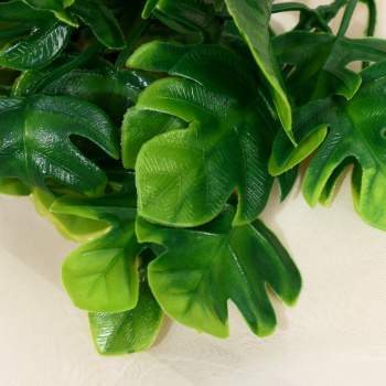 Букет "Филодендрон" 24 м, зелёный  9229367