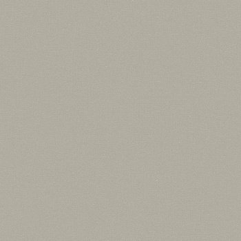 Обои флиз OSTIMA Springtime фон (беж.) 589013 1.06*10м *6