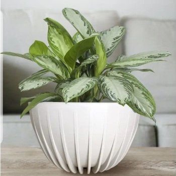 Кашпо пластм. "Сигма"  7,9л d верха 300мм h160мм со вставкой Белый СИвкМ30-00 *1/5